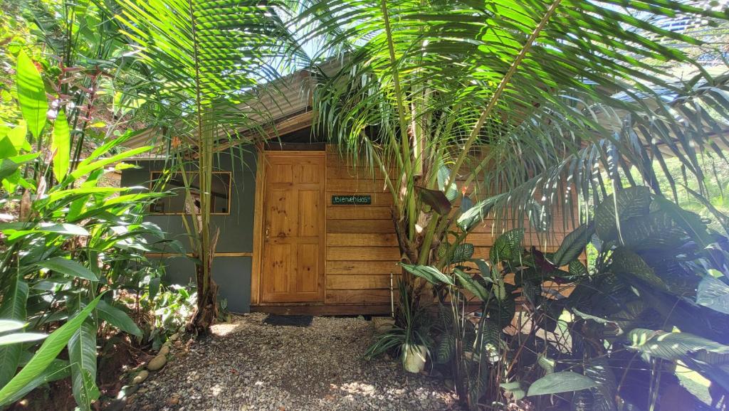 una casa con una puerta de madera y algunas plantas en Private jungle “Loft del Rio” river access, en Uvita