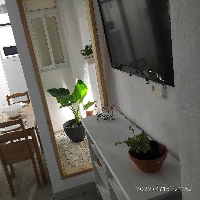 a living room with a tv and plants on a cabinet at Casa Reyes in Rota