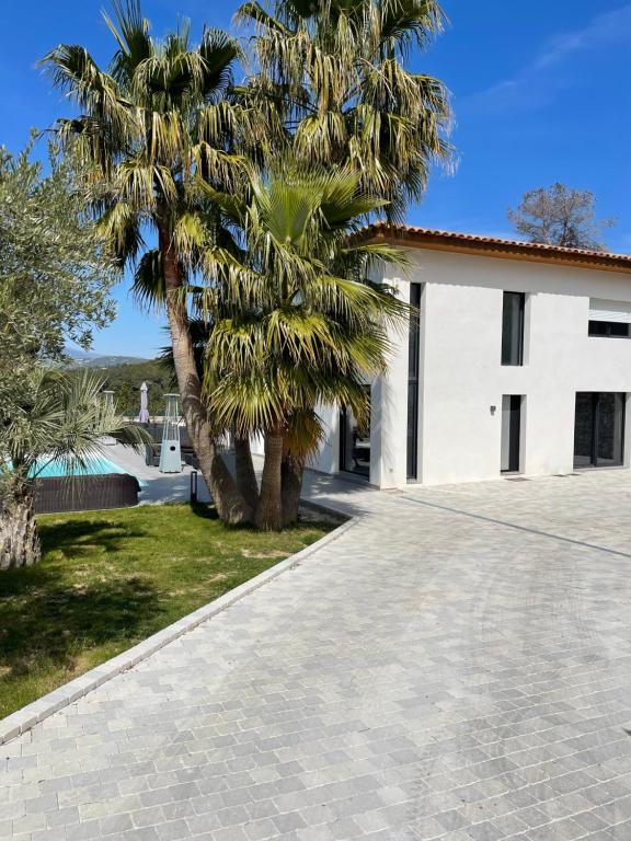 un palmier devant un bâtiment blanc dans l'établissement Villa Blanche, à La Roquette-sur-Siagne