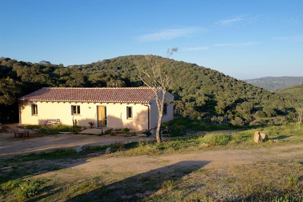 a small white house in front of a mountain at Casa Stazzutz in Luogosanto