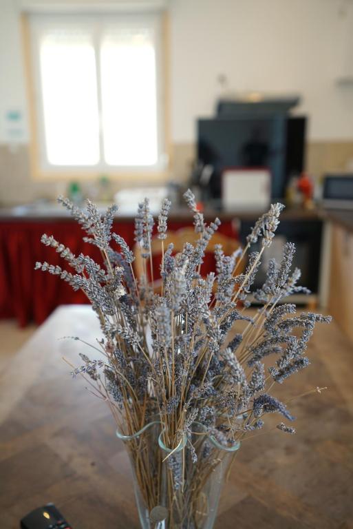 a glass vase with silver flowers on a table at Camping Arbre de Vie in Montagnac