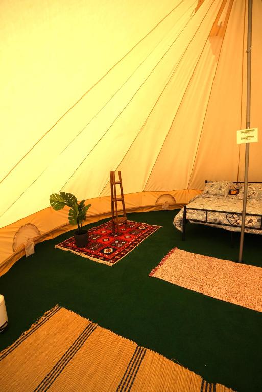 a tent with a chair and a plant in a room at Camping Arbre de Vie in Montagnac