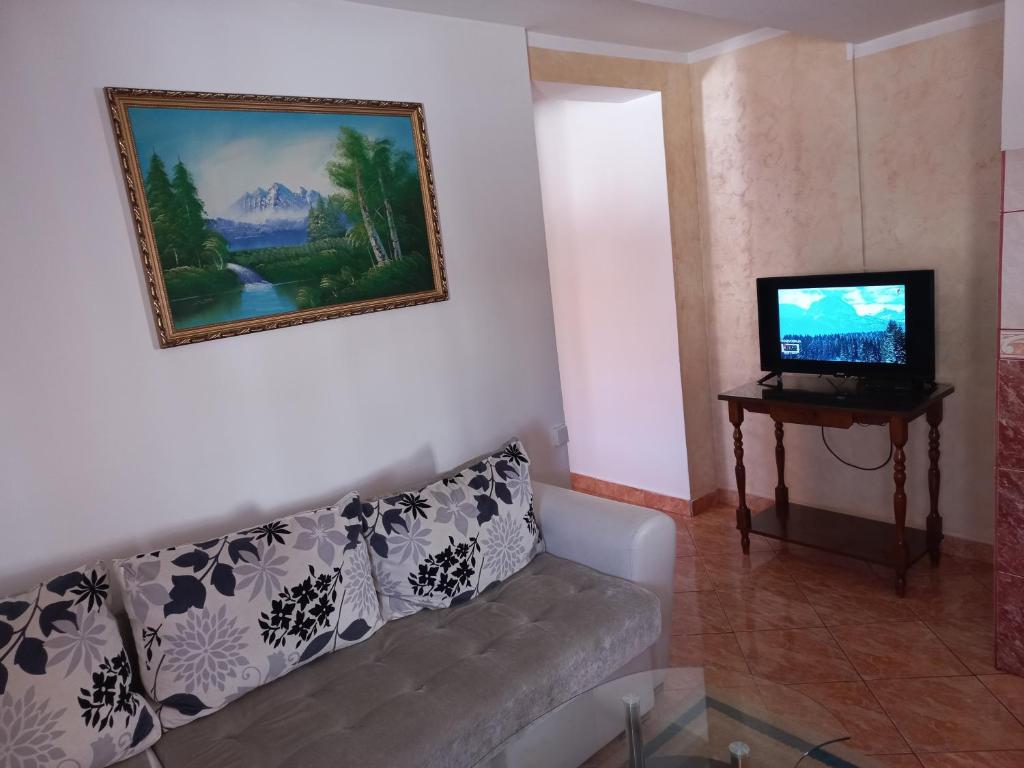 TV a/nebo společenská místnost v ubytování Apartmani Sobe Sljivancanin