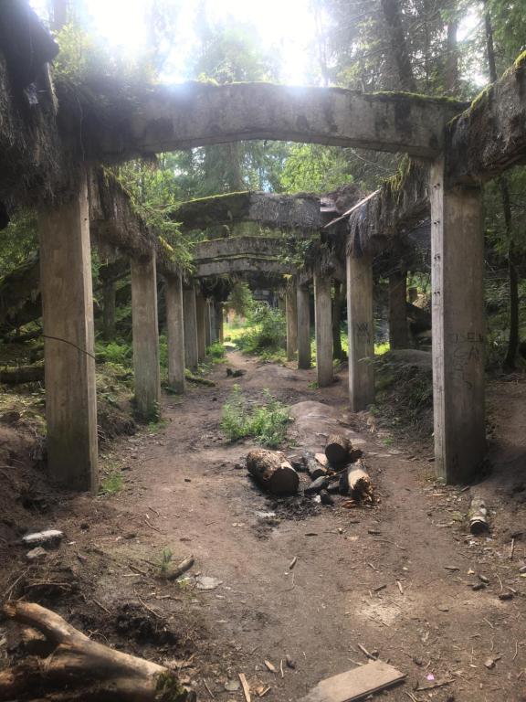 Príroda v okolí horskej chaty