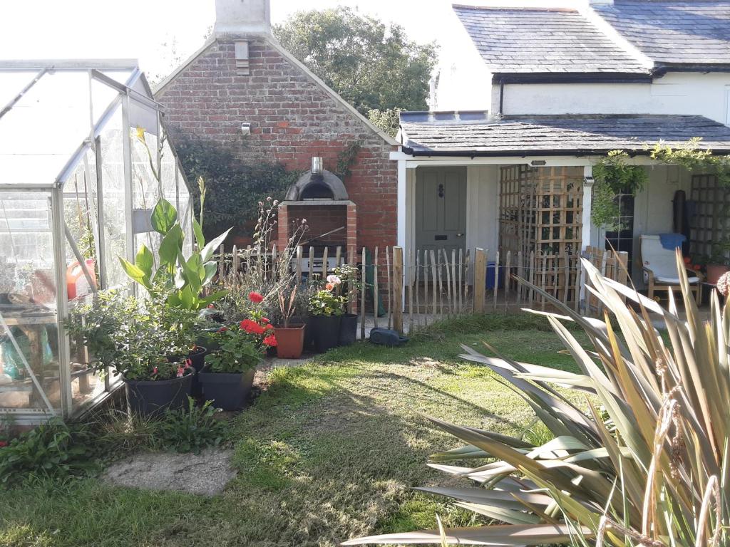 a garden with potted plants and a greenhouse at Tiny Cottage for couples in the countryside in Shalfleet