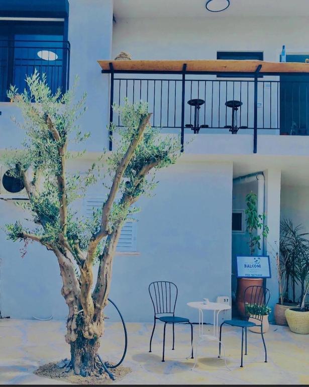 a tree and chairs in front of a building at בלקוני לחוף דור in Dor