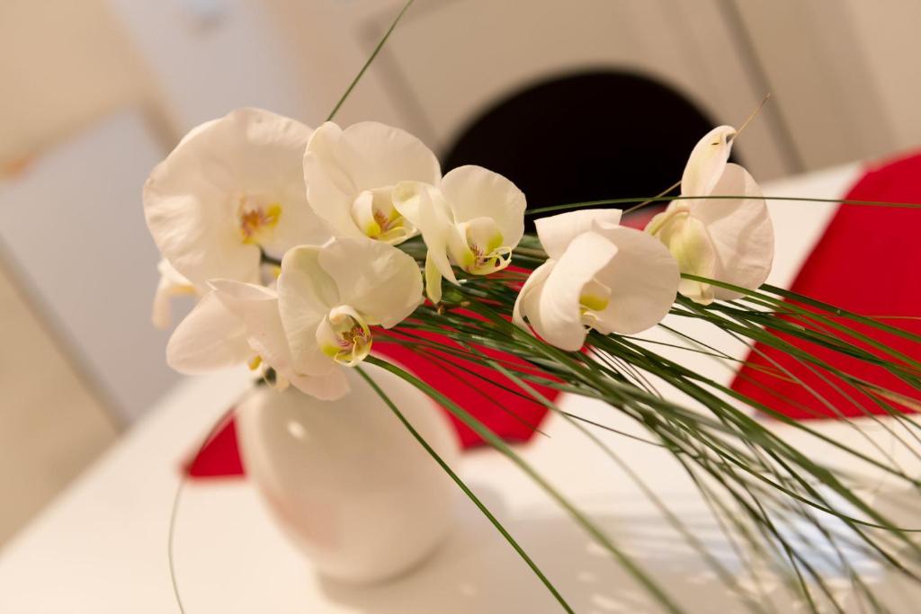 Guest House Cinema close to port - 12