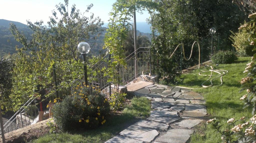 Príroda v okolí of the country house
