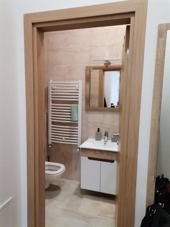 Koupelna v ubytování Apartman Blagojevic Hill