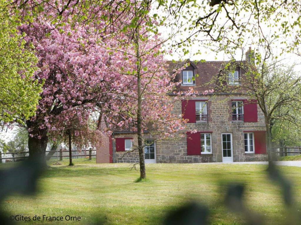 een huis met een bloeiende boom ervoor bij Gîte Ménil-Gondouin, 4 pièces, 8 personnes - FR-1-497-143 