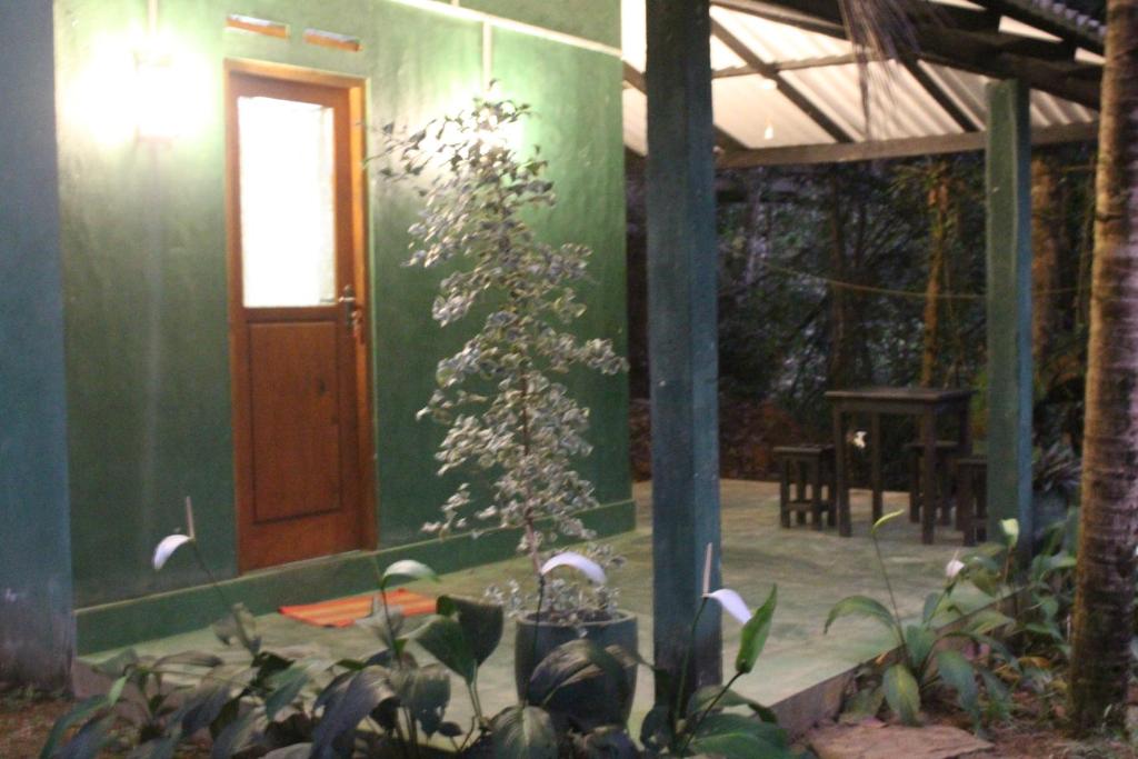 una planta en una olla frente a un edificio en sinharaja Aranuwa resort, en Nelluwa