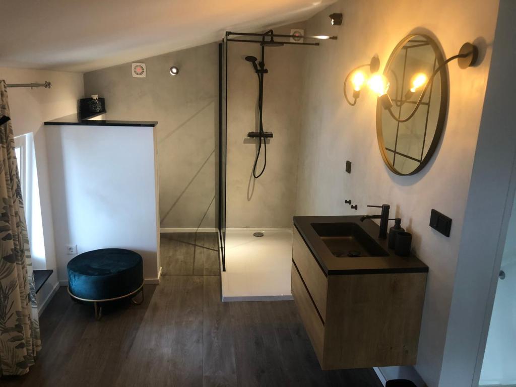 een badkamer met een douche, een wastafel en een spiegel bij B&B Emma in Geleen