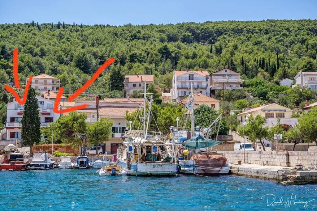Příroda nedaleko apartmánu