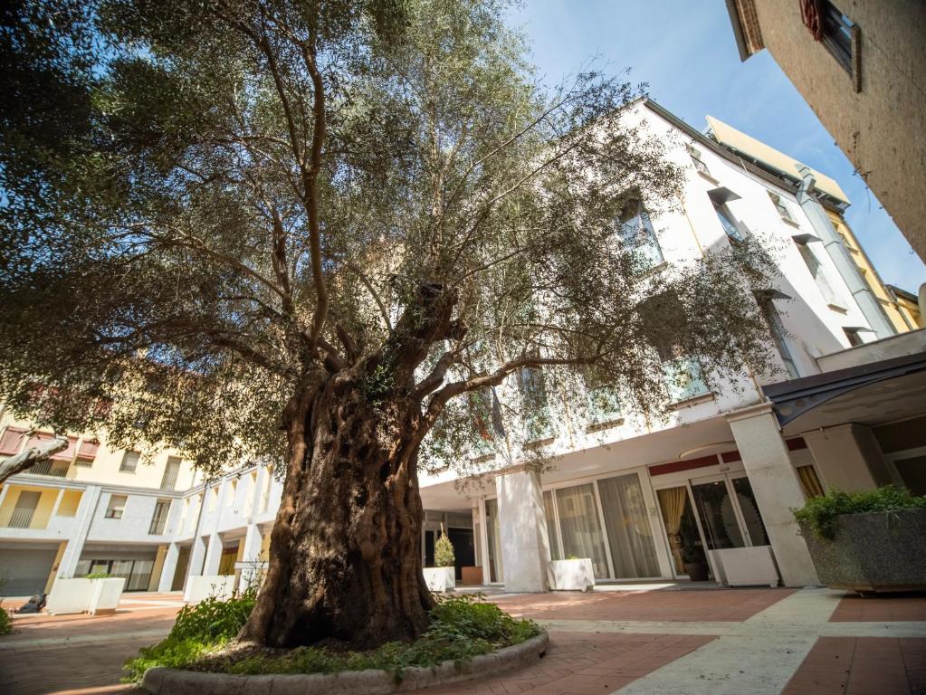 a large tree in front of a building at EGO' Hotel in Ferrara