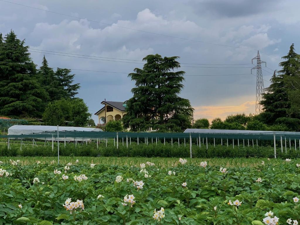 Zahrada ubytování B&B Alla Roggetta