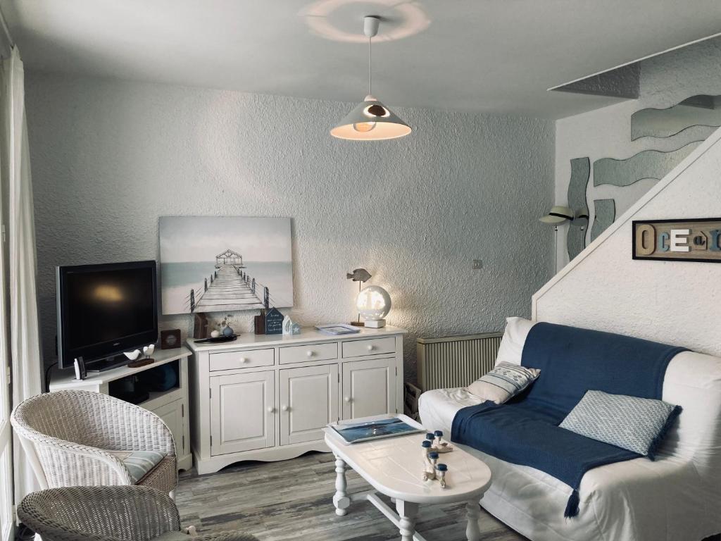 uma sala de estar com um sofá e uma televisão em Maison des loriots, charme marin, plage à 100m em Saint-Jean-de-Monts