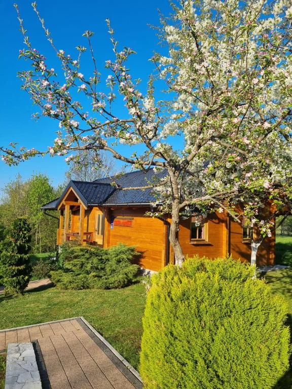 Apartments Zafran - 4