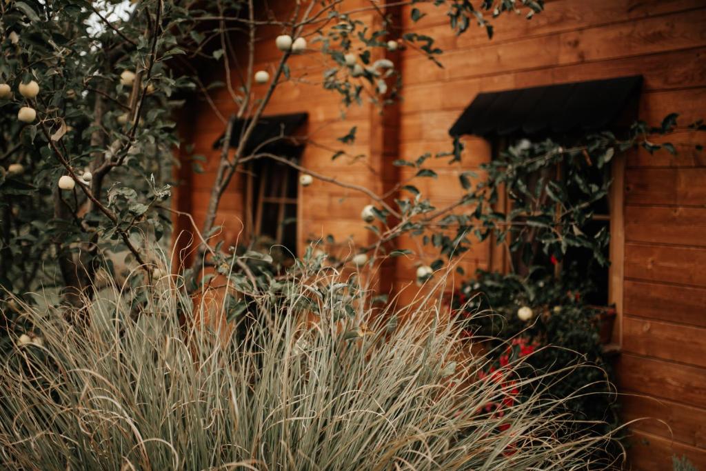 Apartments Zafran - 3