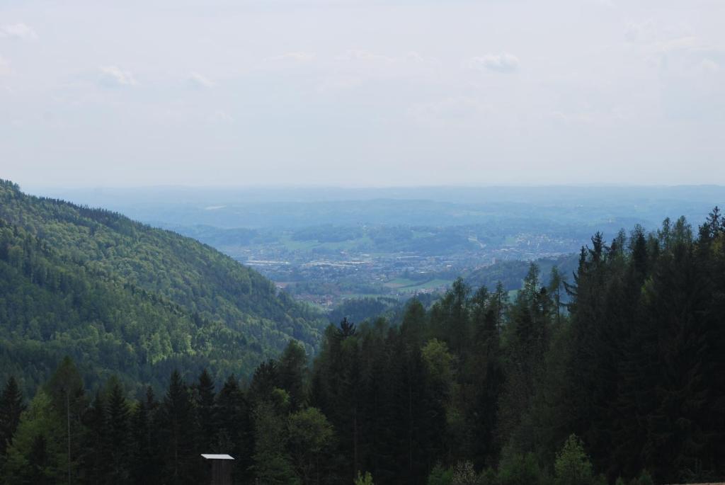 Příroda nedaleko apartmánu