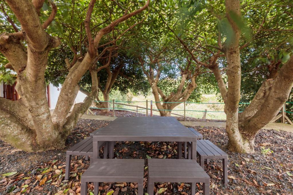 A garden outside Facundo B