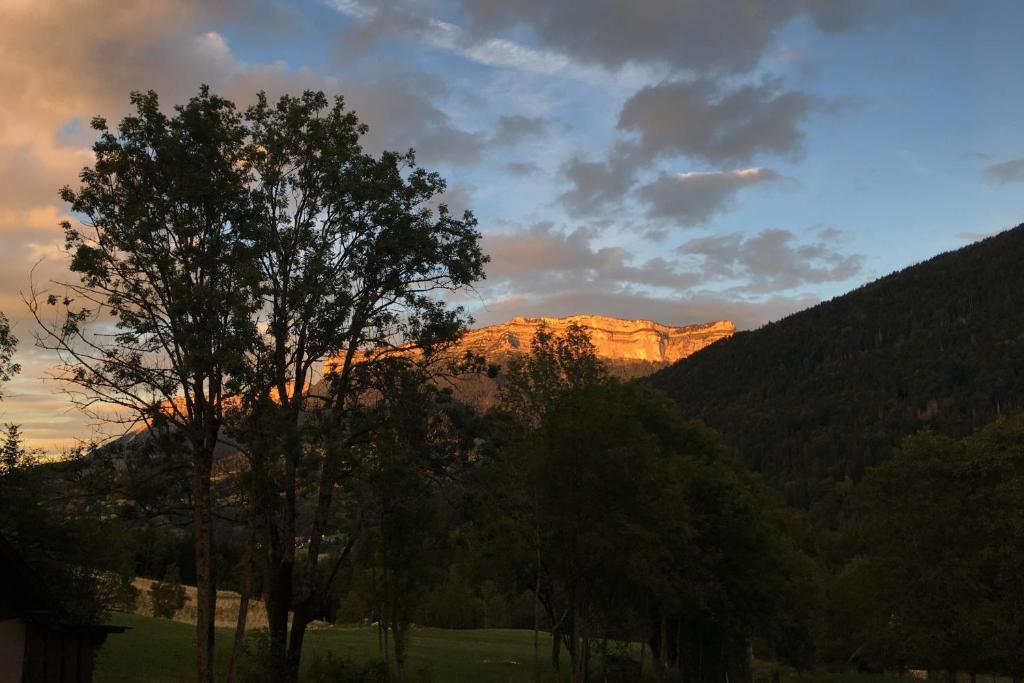 een berg in de verte met een boom op de voorgrond bij Joli Studio Chamechaude in Saint-Pierre-de-Chartreuse