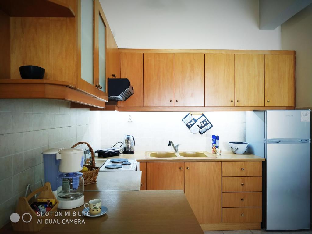 A kitchen or kitchenette at OSCAR STUDIO KALAMATA city centre