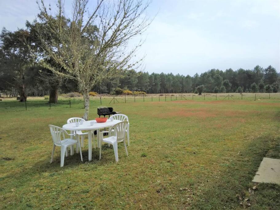 une table et des chaises blanches dans un champ dans l'établissement LE PETIT FROUAS NORD, à Vielle-Saint-Girons