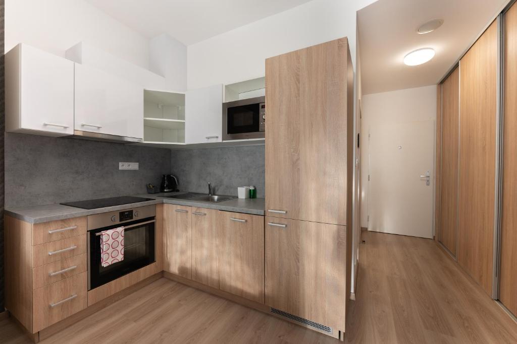 Kuchyň nebo kuchyňský kout v ubytování Metropolitan Star Apart Hotel