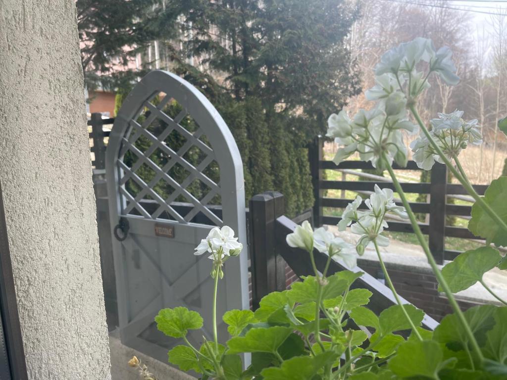 a gate in a garden with flowers in the foreground at The Nest in Sinaia