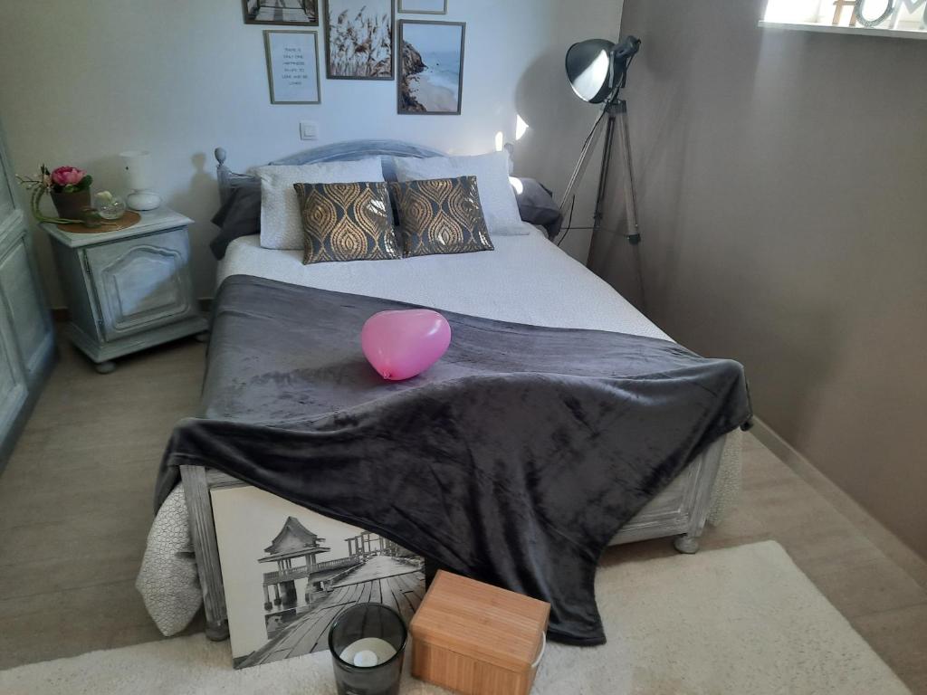 een slaapkamer met een bed met een roze bal erop bij La Maison De Marie in Binche