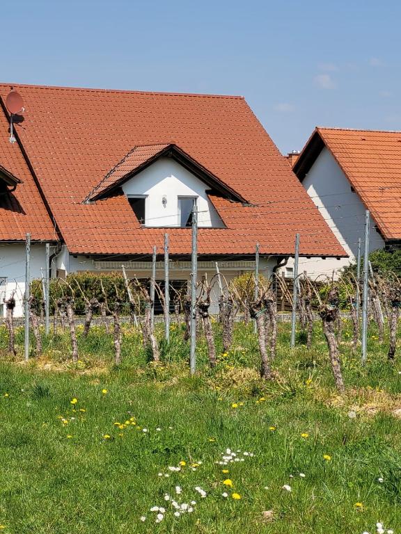 a house with a red roof and a fence at Ferienhaus Vongerichten in Oberhausen