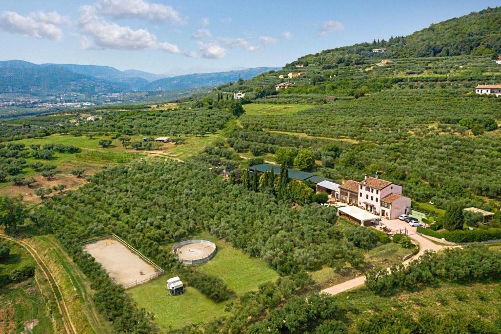 eine Luftansicht eines Hauses auf einem Hügel mit Bäumen in der Unterkunft Agriturismo Casa Rosa in Novaglie