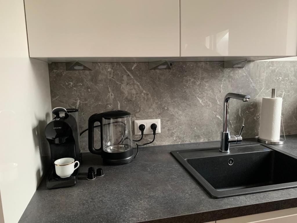 a kitchen counter with a sink and a coffee maker at Quality See Apartments Reifnitz in Reifnitz