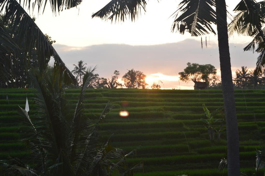 Zahrada ubytování Serenity Private Villa Mas Ubud