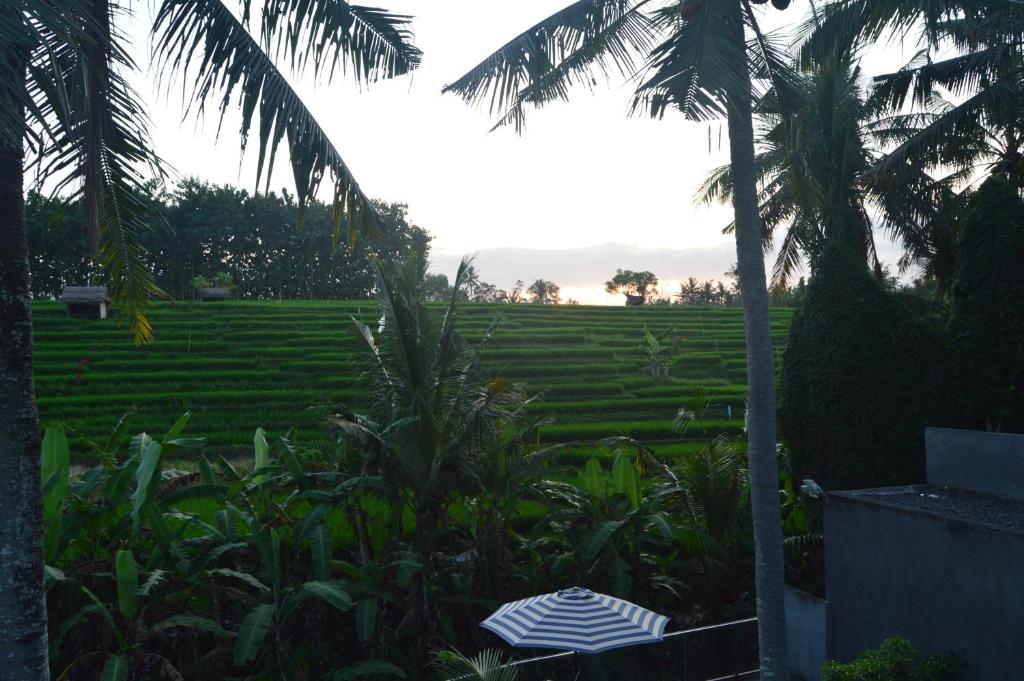 Zahrada ubytování Serenity Private Villa Mas Ubud