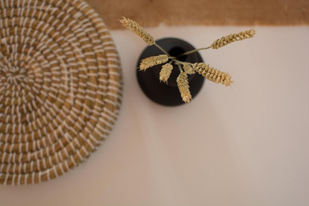 Fotografie z fotogalerie ubytování Noemie Studios v destinaci Athanion