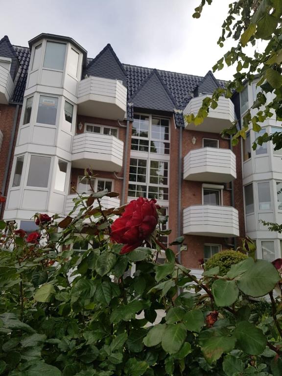 a red rose bush in front of a building at FeWo Seeschloss Nr 5 in Dahme
