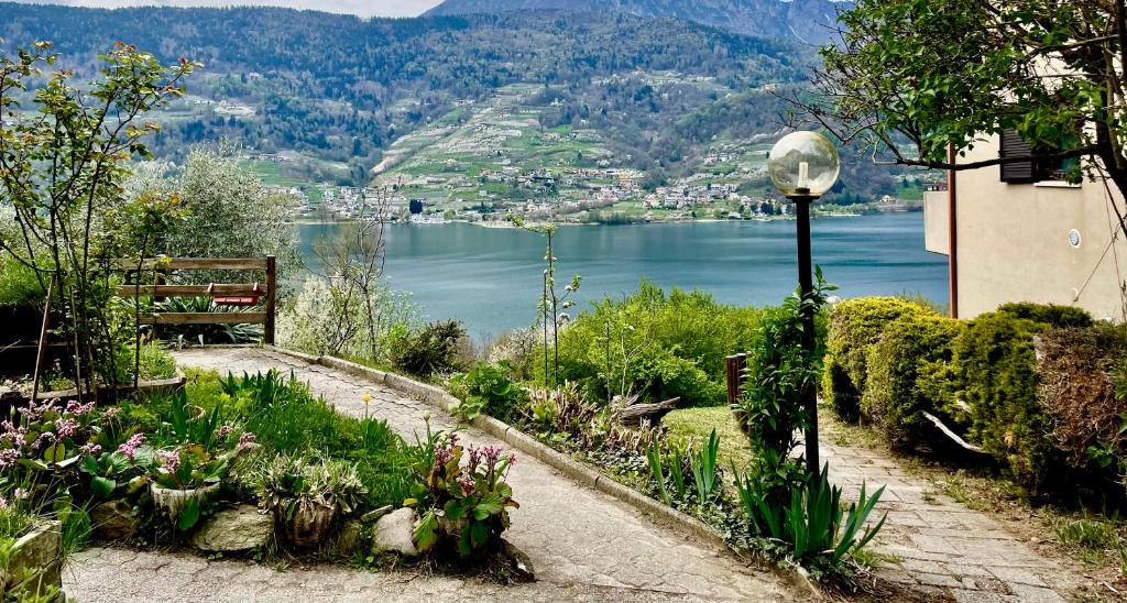 a garden with a view of a lake and a street light at Lake Apartment Ischia Green in Tenna 