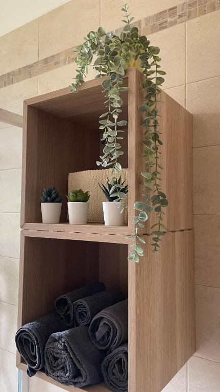 a wooden shelf with potted plants and towels at Appartamento Palazzo dei Duchi in Avigliana
