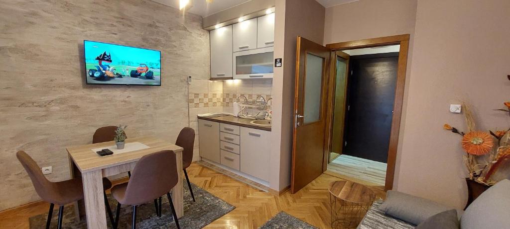 Kuchyň nebo kuchyňský kout v ubytování Apartman Lora