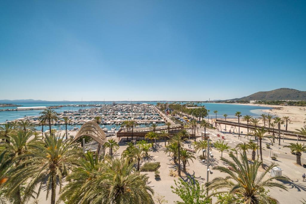 vistas a una playa con palmeras y al océano en Record Maritim II en Puerto de Alcúdia