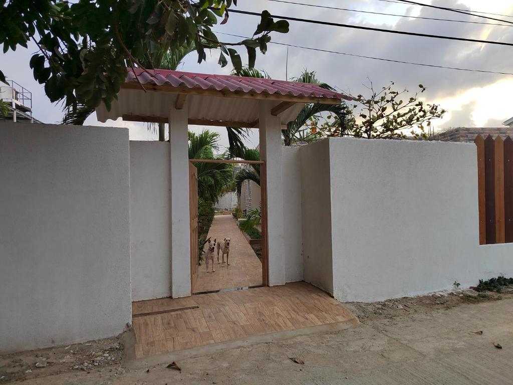 Fotografie z fotogalerie ubytování Aparta Suite Villa Roko v destinaci San Andrés