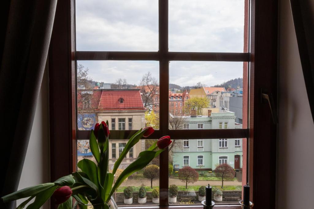 ZEPPELIN APARTMENTS Simple Acomodation - 5