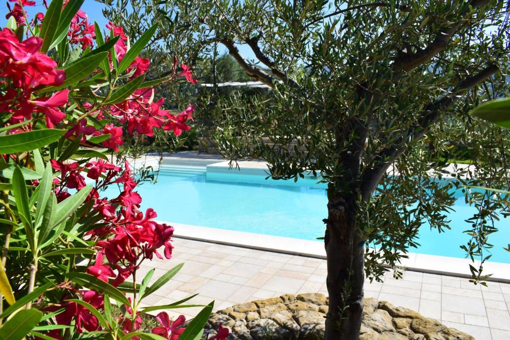 a swimming pool with a tree and red flowers at Taormina Villa Ibiscus Alcantara in Gaggi