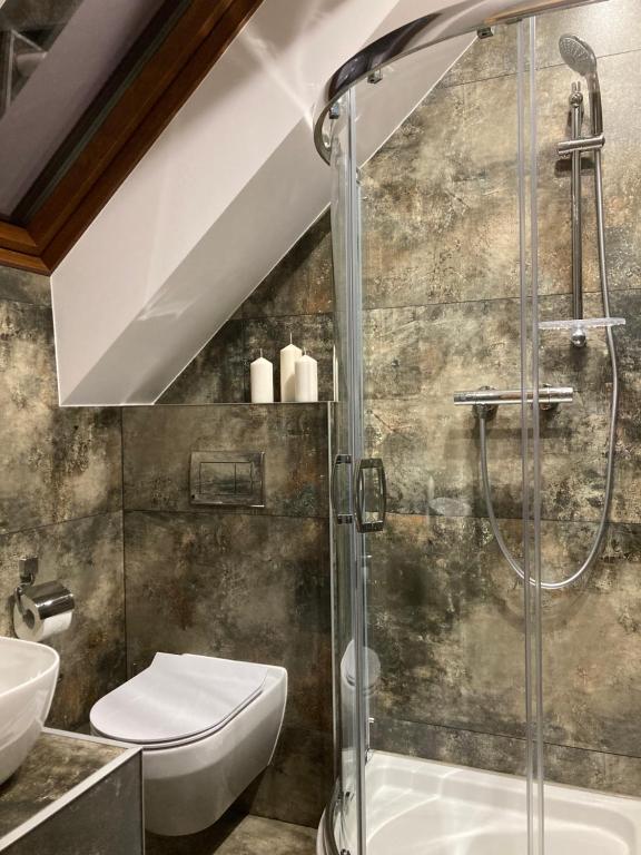 łazienka z prysznicem, toaletą i umywalką w obiekcie Rezydencja pod Cergową Wellness & SPA w mieście Dukla