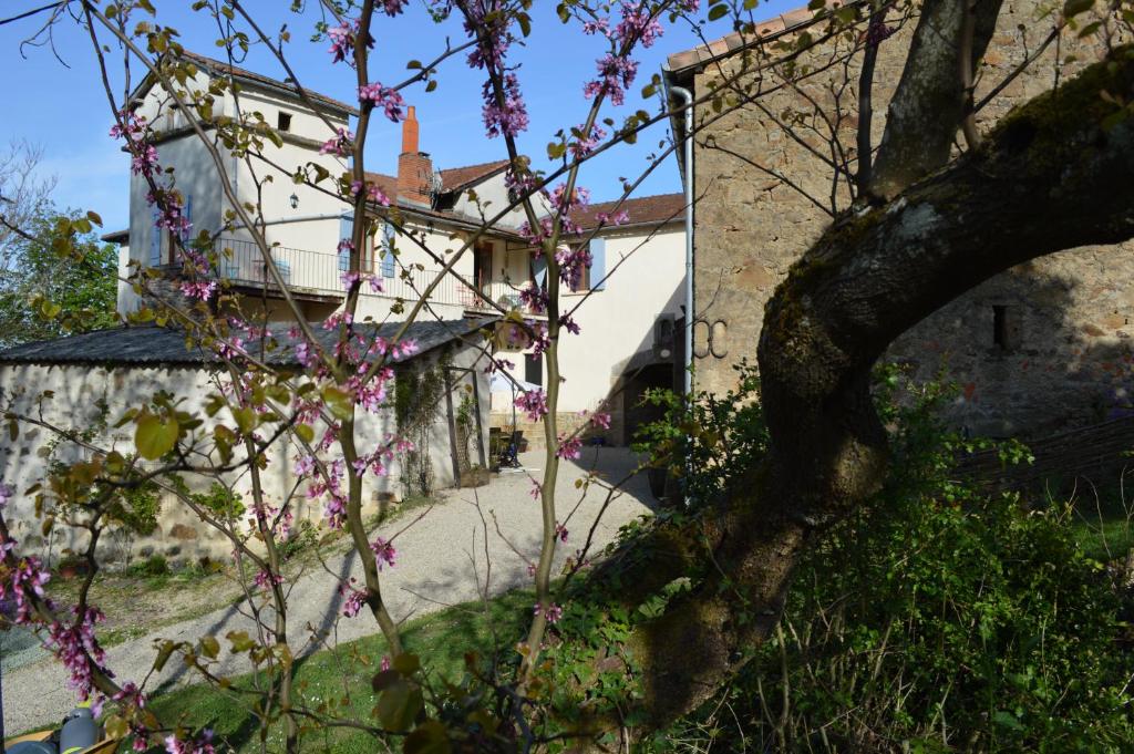 Zahrada ubytování DUC MANOIR Chambres d'hôtes