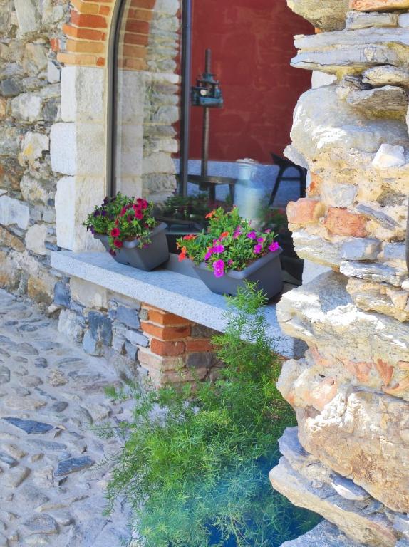 Zahrada ubytování Agriturismo Il Medeghino