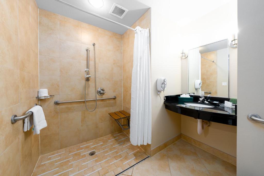 Holiday Inn Temple - Belton, an IHG Hotel - 标准的国王室与滚动淋浴 - 通信访问