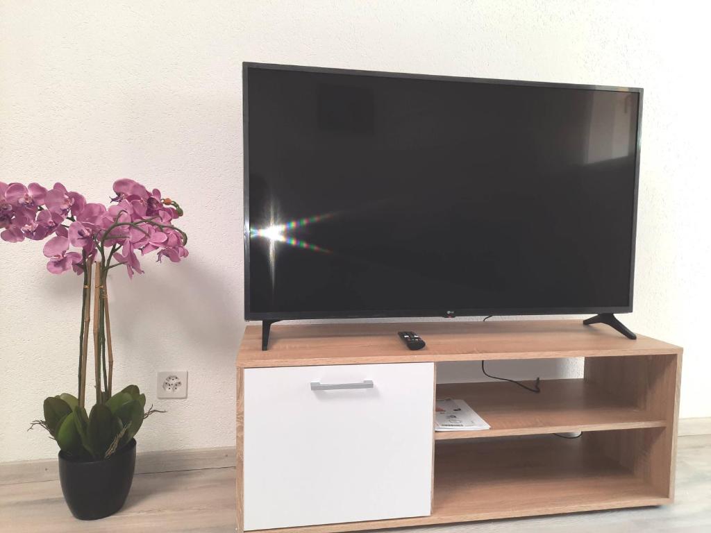 TV a/nebo společenská místnost v ubytování VDT Vacances