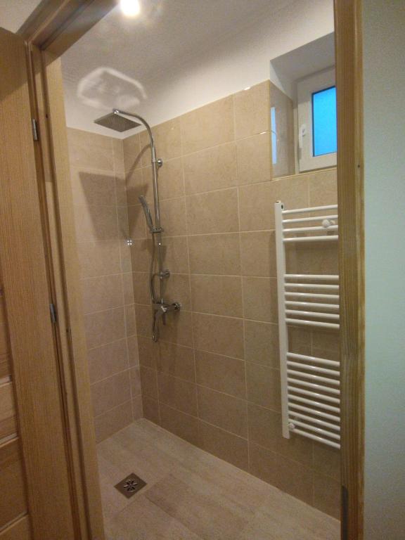 bagno con doccia e porta in vetro di Csengő Vendégház a Kiskőrös